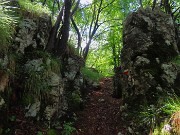 44 Saliamo in Cornagera dalla 'Scaletta Mario Curnis' , sentiero da poco aperto